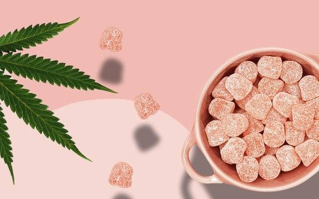 Cornbread CBD Gummies : Myths And Facts Revealed!