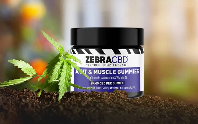 Zebra CBD Gummies Reviews: Is This Supplement Worth the Hype?