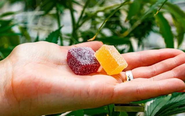 Forest Mountain Farms CBD Gummies : Discover the Truth: Do Benefits or Scams?