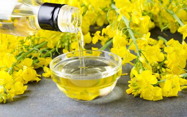 Rapeseed Oil Market Size, Share and Trends Forecast 2026-2034