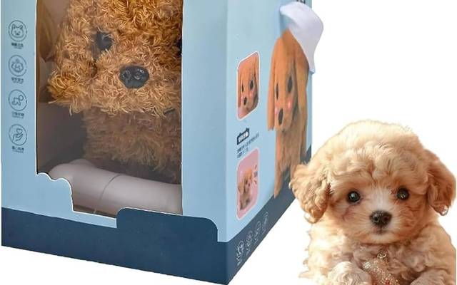 RoboPaw Robot Puppy Reviews – Worth it?