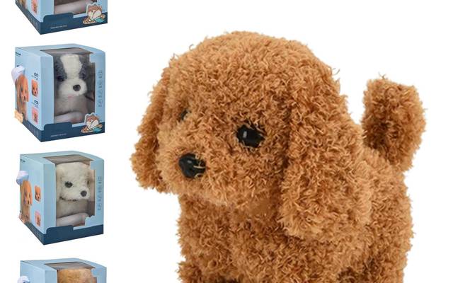 RoboPaw Robot Puppy REVIEWS (2026 WARNING!): SHOCKING FACT