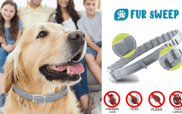 Fur Sweep Collar Reviews: Your Pet's Natural Defense Against Pests