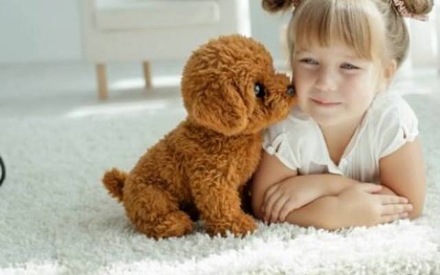 Wuffy Robot Puppy Review - Should You Buy?