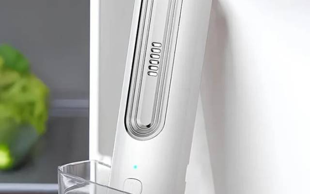 Ozoori Fridge Deodorizer Review - Should You Buy?