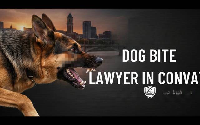 Injured by a Dog? Speak With a Dog Bite Lawyer in Conway

