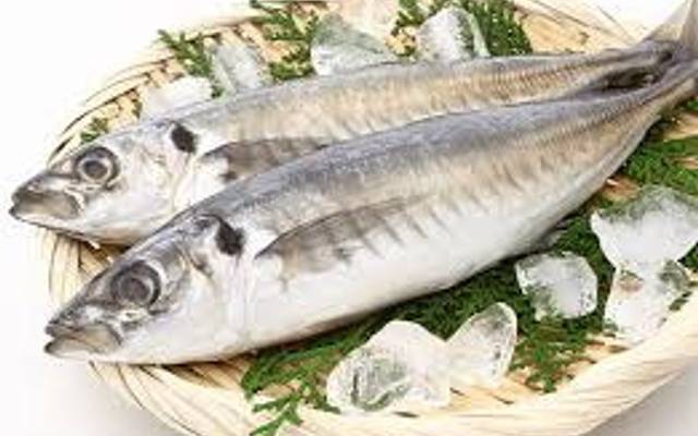 Exploring the Delicacy: Why Jesh Fish Is a Must-Try