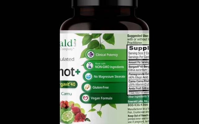 Bergamot Plus Review (Untold Facts)