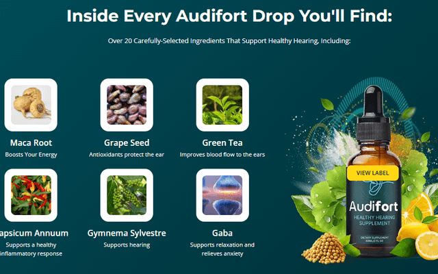 Audifort 2025 Reviews