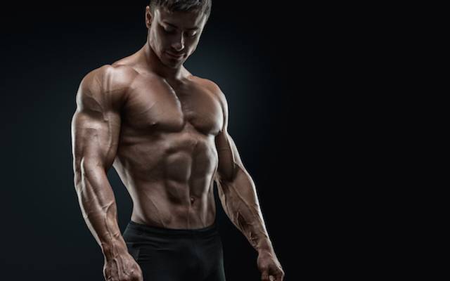 Types of Steroids 2026: A Complete Guide to the Different Kinds of Steroids and Their Uses