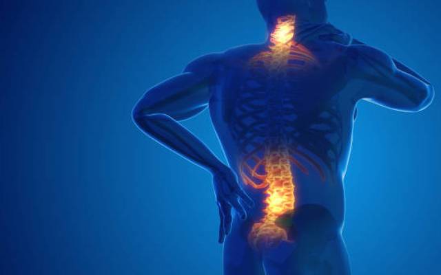 Terra Pro CBD Gummies Ingredients, side effects and Is it legit or Does it Really Work , What To Know Before Using It?