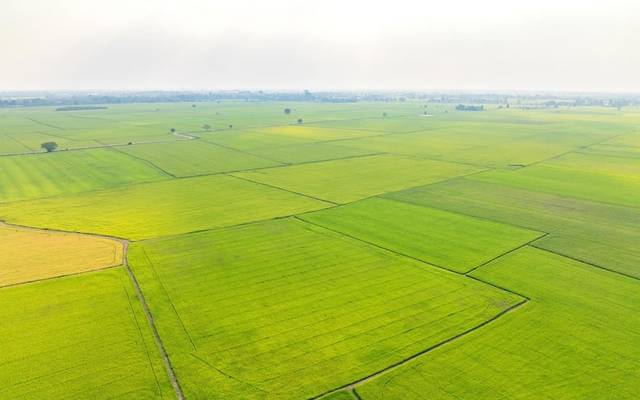 Own Your Dream | Omaxe Super Corridor Indore Plots from ₹2,800