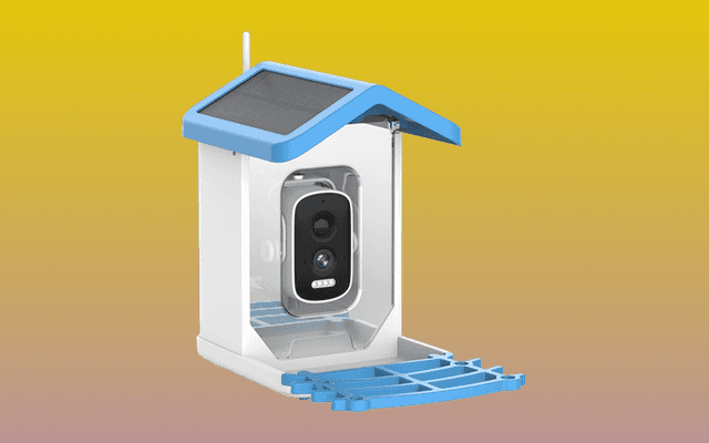 ChirpyCharmm Review: Scam or Should You Buy?