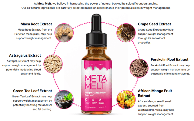 MetaMelt Diet Reviews: Update Shocking Exposed!