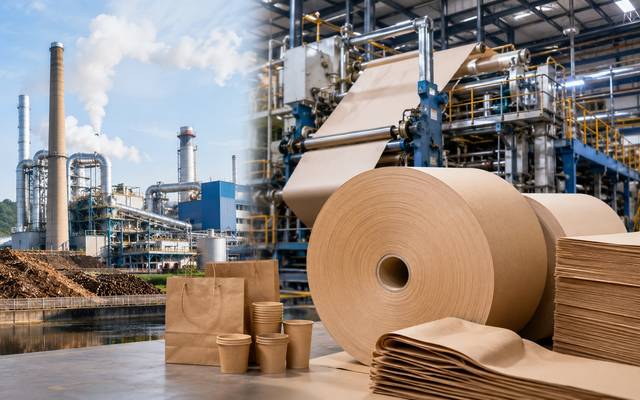 Kraft Paper Manufacturing Plant Feasibility Report and Business Consulting