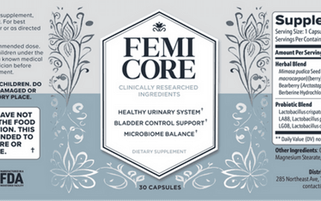 FemiCore Workout System: The Modern Core Solution for Stronger Women