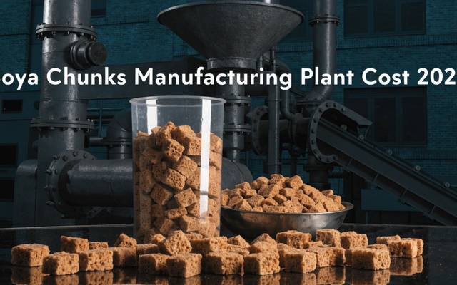 How to Setup a Soya Chunks Manufacturing Plant 2026: Cost, Licenses & Process Explained