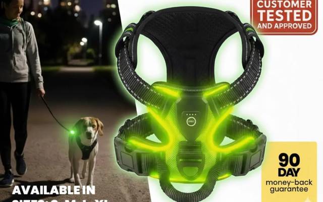 RadPaws LED Harness Reviews (Crucial User Report!) Know The Truth Before Buying!