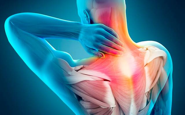 Vital Hemp Gummies New Zealand Reviews, Side Effects, Benefits & Ingredients!