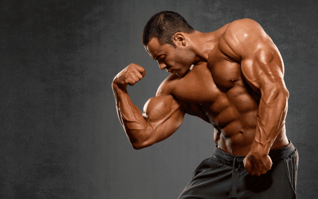 Legal Steroid Alternatives for Beginners: A Safe Path to Bigger Gains