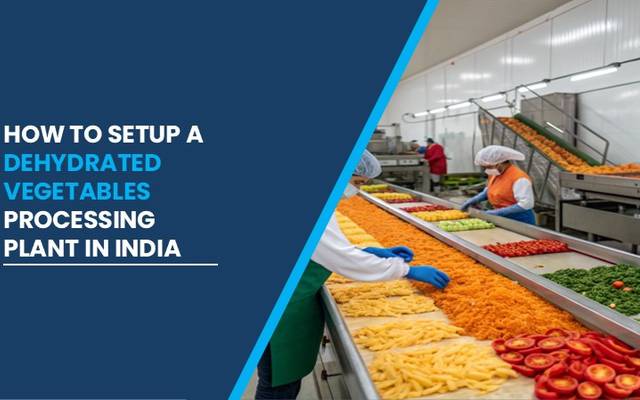 Dehydrated Vegetables (Mushrooms, Onions, Garlic, Potatoes) Processing Plant DPR & Unit Setup Cost in India