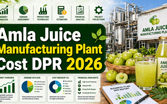 Amla Juice Manufacturing Plant DPR – 2026: Investment Cost, Market Growth and Machinery