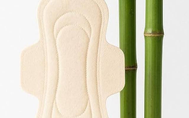 Bamboo Fiber Pads Manufacturing Plant Cost, Setup Report 2026: Raw Material Requirements and Industry Trends