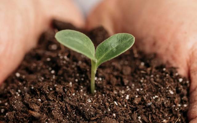 Biofertilizer Plant Project Report 2026: Machinery, and Business Plan