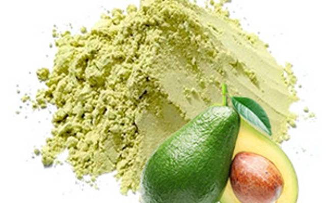 Avocado Powder Plant Project Report 2026: Setup Guide, Market Insights, and Investment Analysis