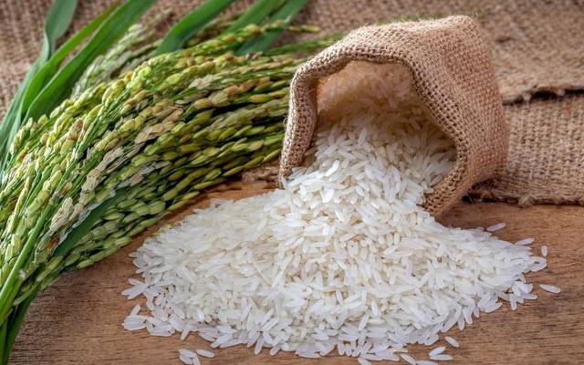 Rice Plant Project Report 2026: Process Details, Market Outlook, and Profitability Analysis