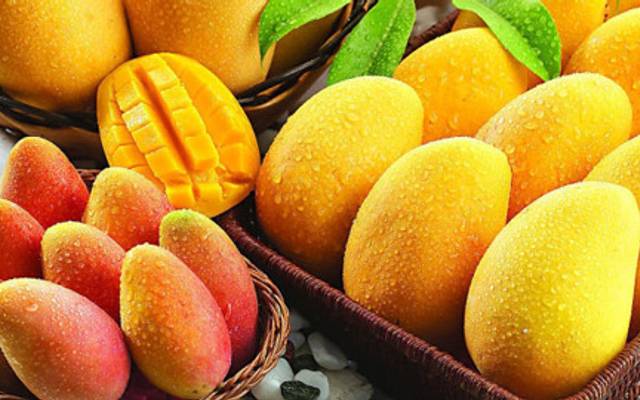 Mango Processing Plant Setup Cost 2026: Raw Material Requirements and Industry Trends