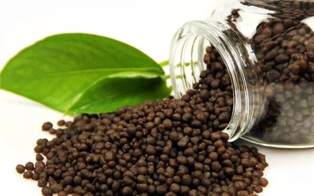 Setting Up a Diammonium Phosphate (DAP) Manufacturing Plant Project Report 2026: Complete Business Plan