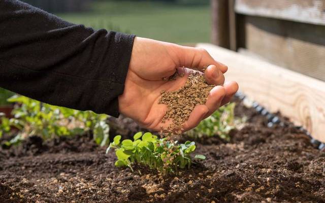 Biofertilizer Production Plant Setup 2026: Project Report, Business Plan, Raw Materials, and Cost Analysis
