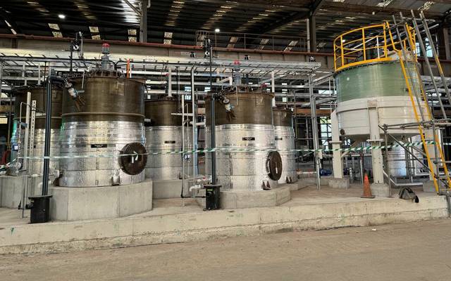Magnesium Hydrosulfide Production Plant Cost, Profit Margin & Market Demand Analysis