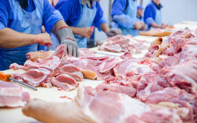 Cost Analysis for Frozen Meat Manufacturing Plant Setup 2026