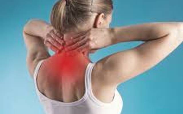 Forest Mountain Farms CBD Gummies: Honest Review, Side Effects & Buying Guide