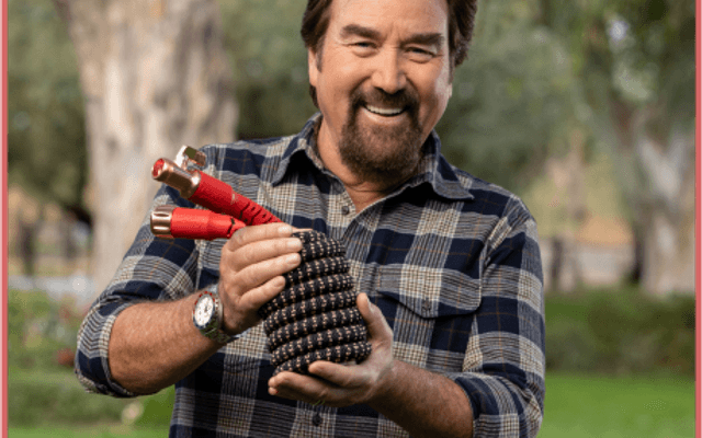 Pocket Hose Copper Head vs. Traditional Garden Hoses Which One Saves Your Back and Money?