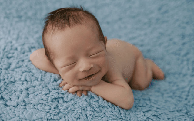 Como funciona o ensaio Newborn?