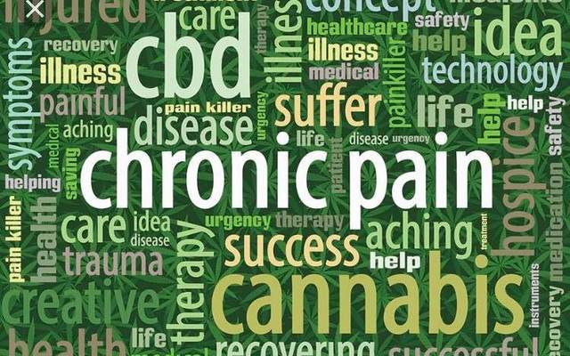 Healthy Leaf CBD Gummies Official Website , Clinical certified , 100% Natural!