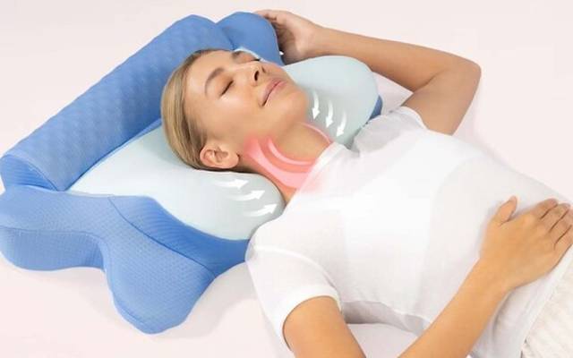 Melara Max Pillow Singapore Reviews DISCLOSED! Discovered By Consumer Reports?