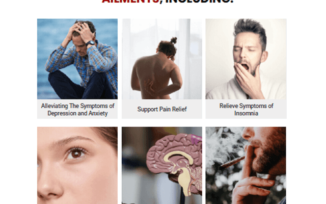 Farm Health Organics CBD Gummies: for Anxiety Relief, Joint Comfort & Deep Sleep Support!