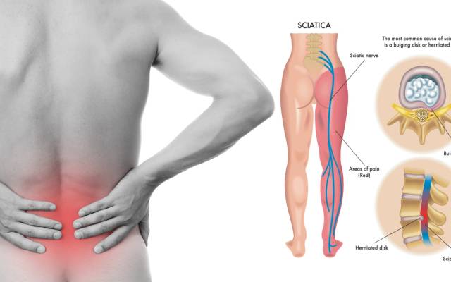 Vital Hemp Gummies Canada – Natural Relief You Can Trust