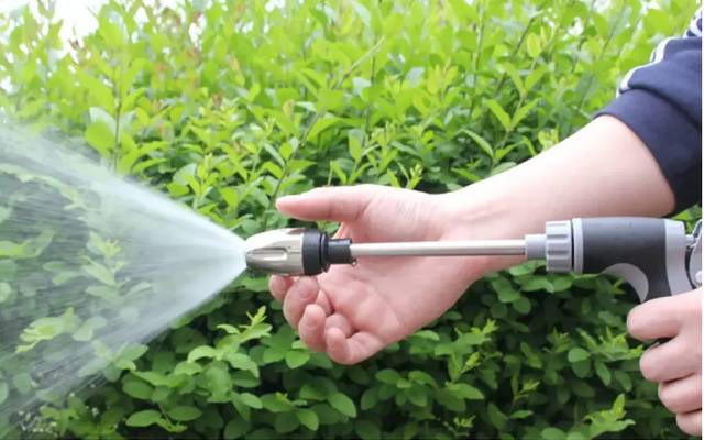 Bästa Munstycket för Trädgårdsslang: Qinux Aquoxis Recension & Prisjakt