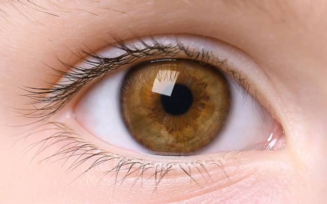 Hoe ProperEyes Vision Restoration Netherlands helpt om 20/20-zicht op natuurlijke wijze te herstellen.