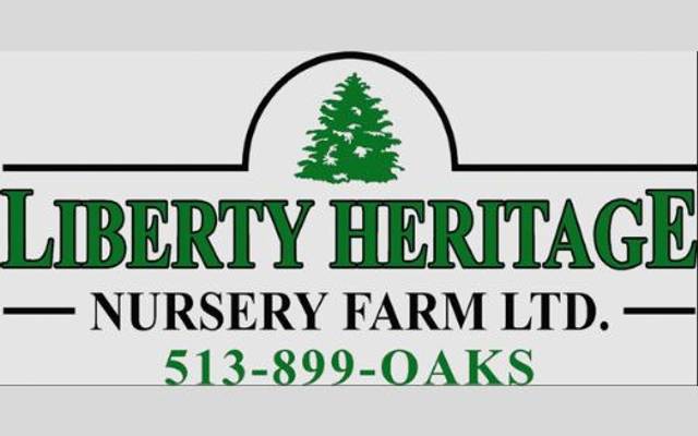 Expert Drainage Solution Services in Liberty Township