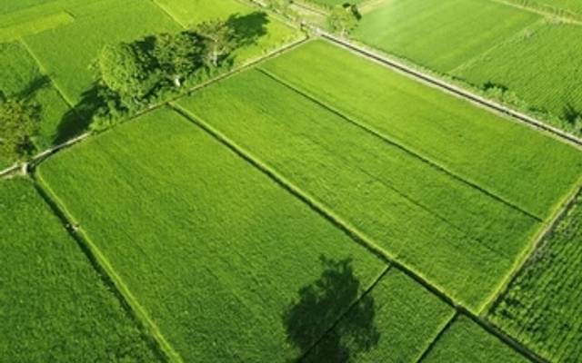 Complete Buyer's Guide to KNS Samooha Residential Plots