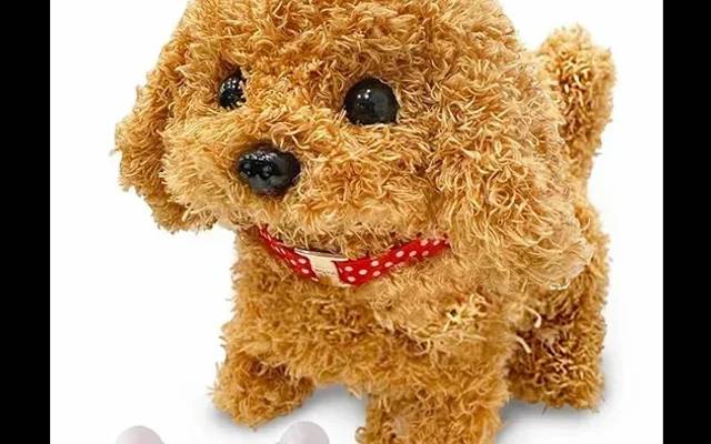 RoboPaw Robot Puppy Reviews [Truth Exposed 2026]