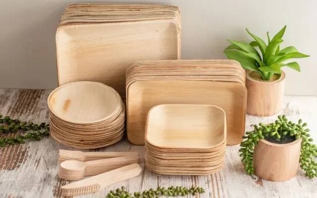 Bamboo Based Disposable Cups and Plates Manufacturing Plant Cost Report 2026: CapEx/OpEx Analysis with Profitability Forecast