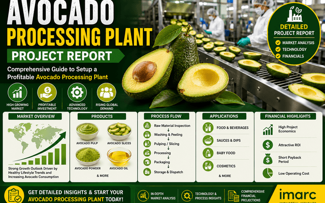 How to Setup an Avocado Processing Plant in 2026: Cost Analysis, Revenue Potential & Industry Trends