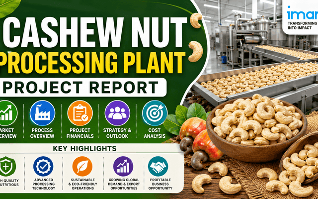 Cashew Nut Processing Plant Setup Cost Report 2026: Raw Materials and Industry Trends